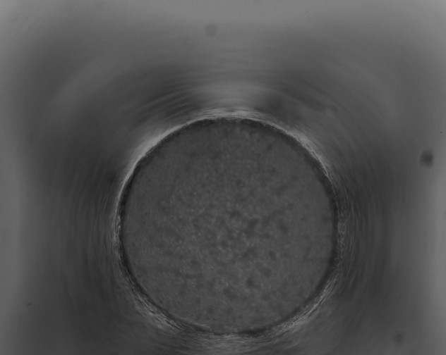 X0000097970879200804011718