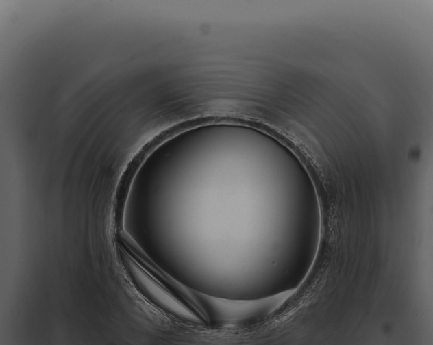 X0000097970880200804011718