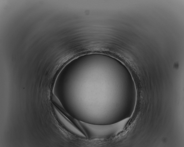 X0000097970881200804011718