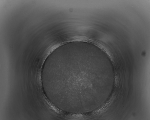 X0000097970882200804011718