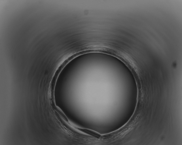 X0000097970883200804011718