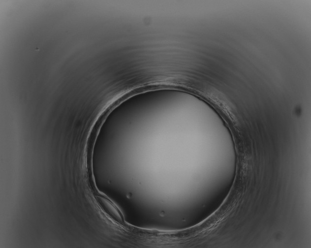 X0000097970884200804011718