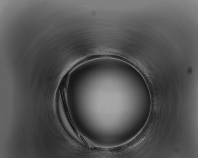 X0000097970885200804011718