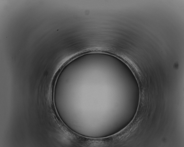 X0000097970886200804011718