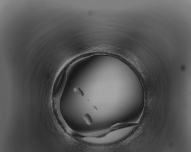 X0000097970888200804011718