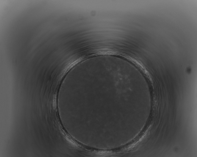 X0000097970889200804011718