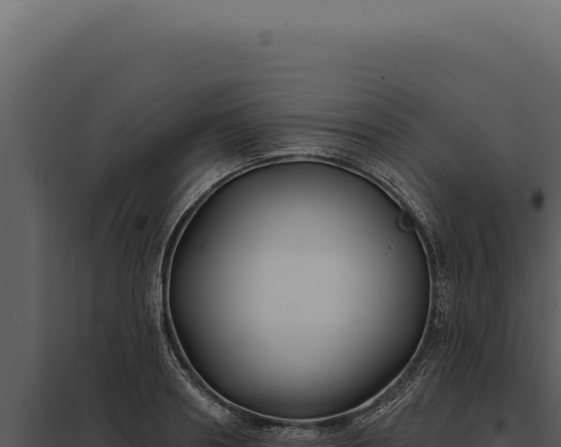 X0000097970890200804011718