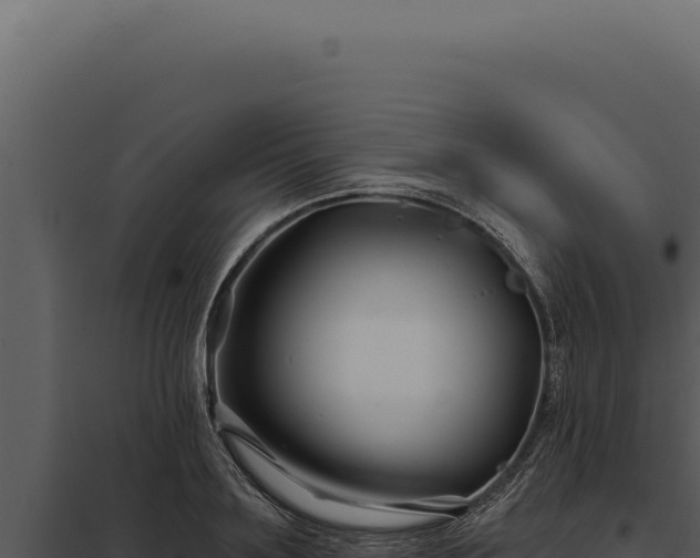 X0000097970891200804011718