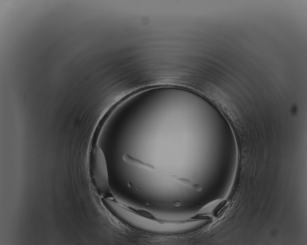 X0000097970892200804011718