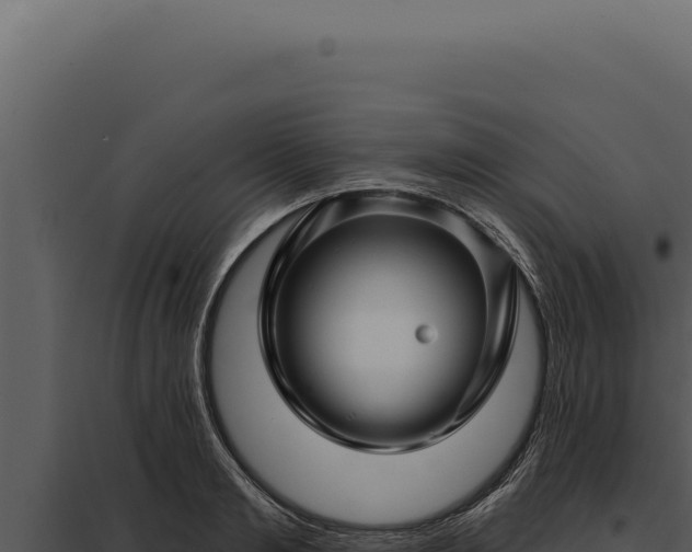 X0000097970893200804011718