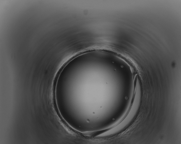 X0000097970894200804011718