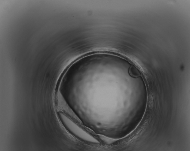 X0000097970895200804011718