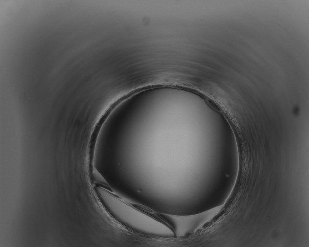 X0000097970896200804011718