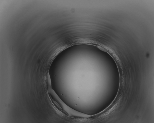 X0000097970897200804011718