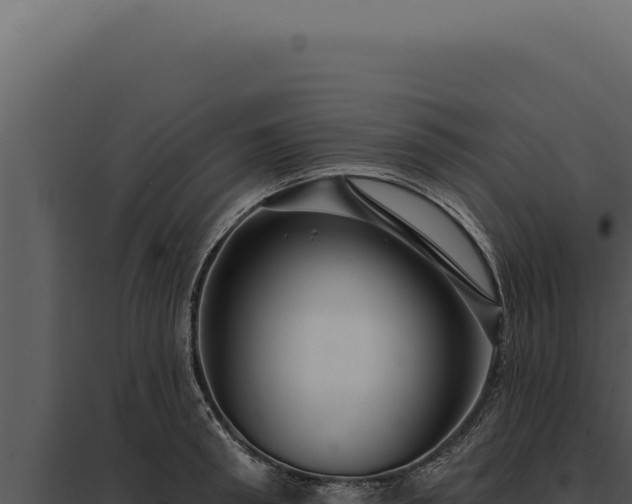 X0000097970898200804011718