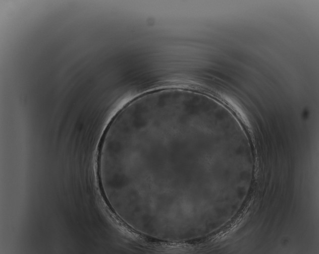 X0000097970899200804011718