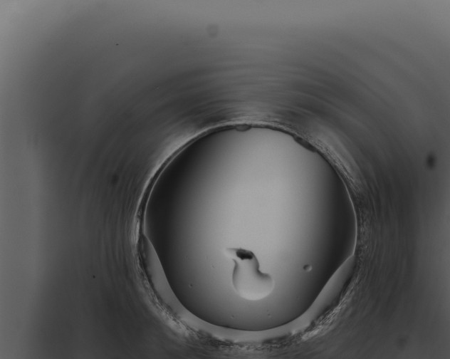 X0000097970900200804011718