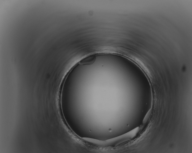 X0000097970901200804011718