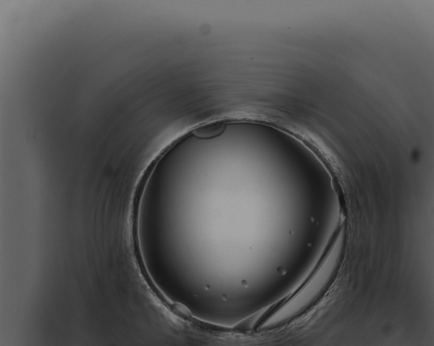 X0000097970902200804011718