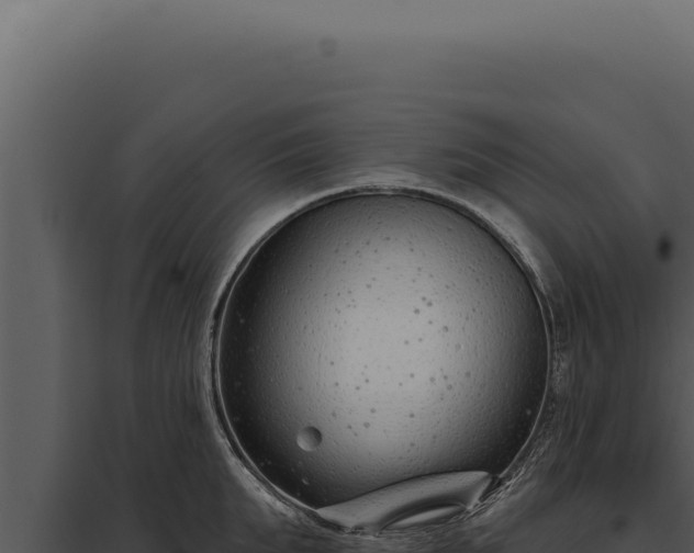 X0000097970903200804011718