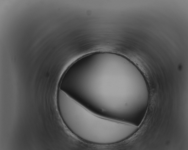 X0000097970904200804011718