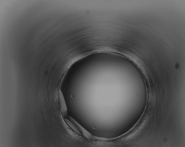 X0000097970905200804011717