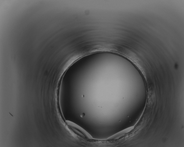 X0000097970906200804011717