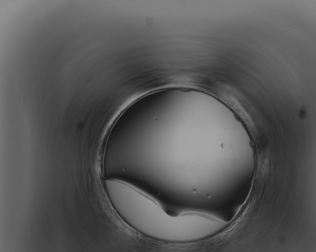 X0000097970908200804011717