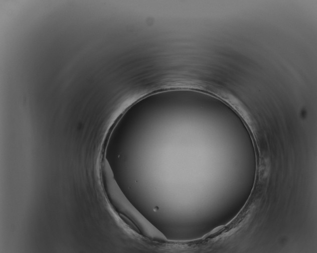 X0000097970909200804011717