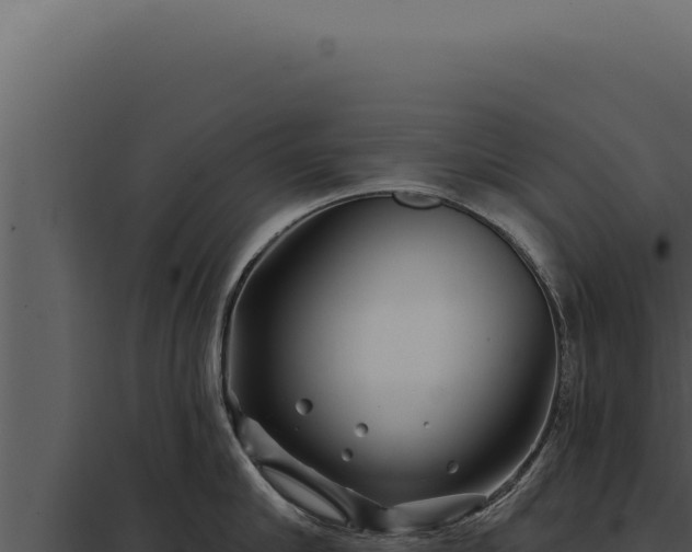 X0000097970910200804011717