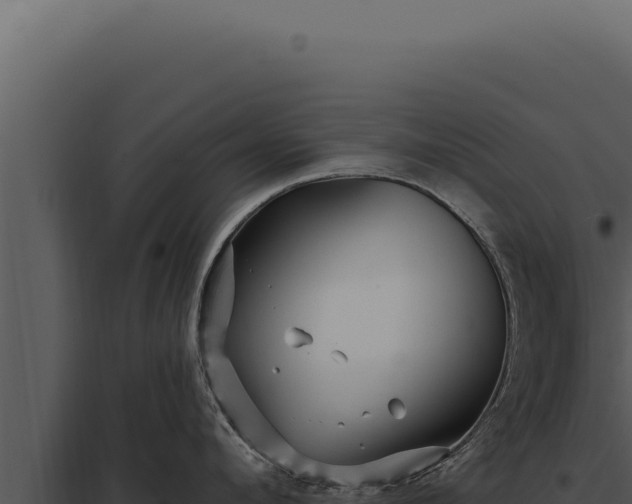 X0000097970912200804011717