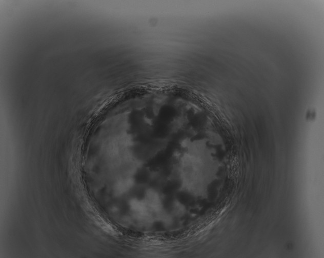 X0000097970913200804011717