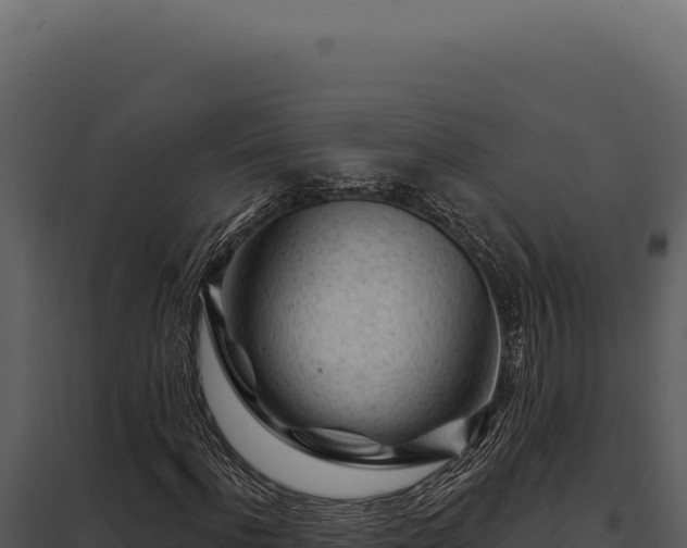 X0000097970916200804011717