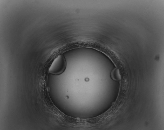 X0000097970918200804011717