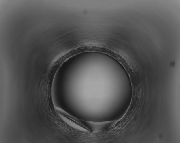 X0000097970919200804011717