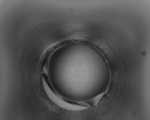 X0000097970920200804011717