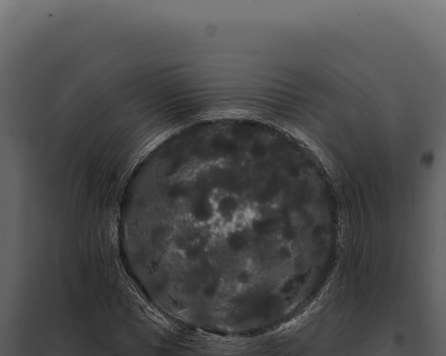 X0000097970921200804011717