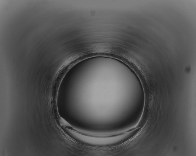 X0000097970922200804011717