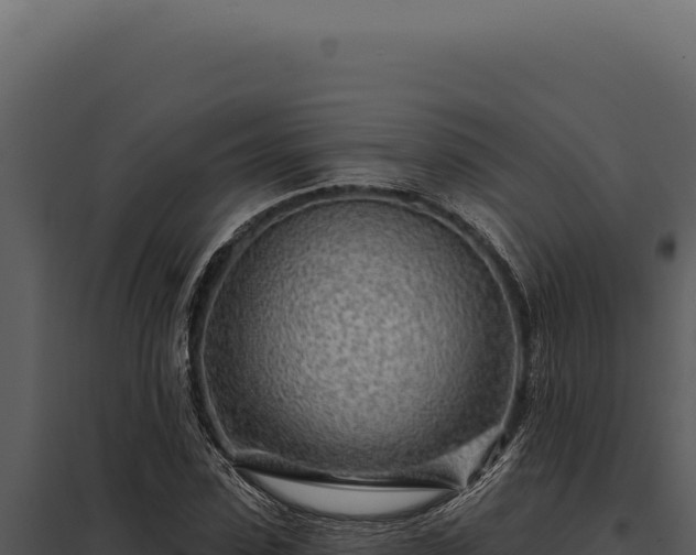 X0000097970923200804011717