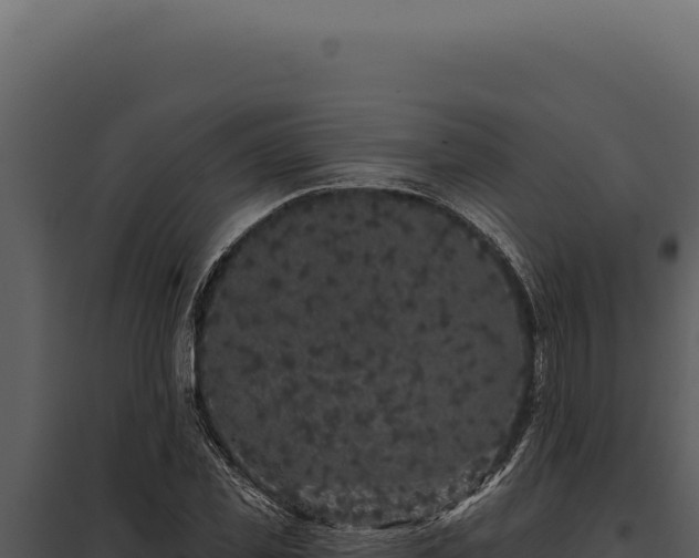 X0000097970925200804011717