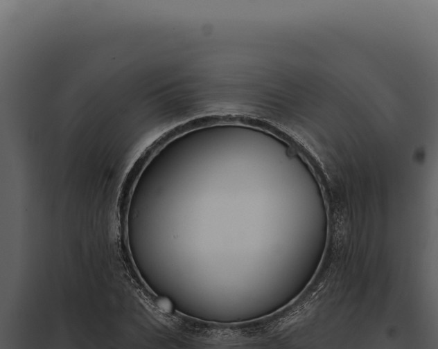 X0000097970927200804011717