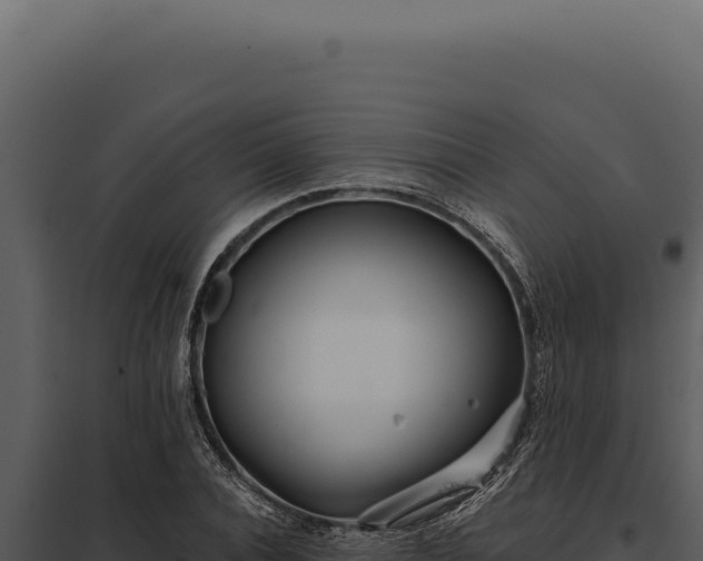 X0000097970928200804011717