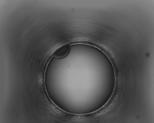 X0000097970929200804011717