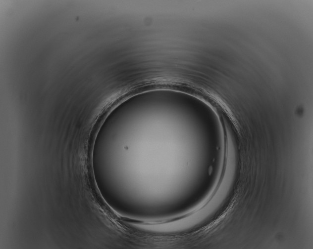 X0000097970930200804011717