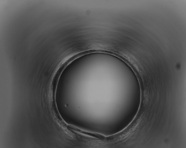 X0000097970931200804011717