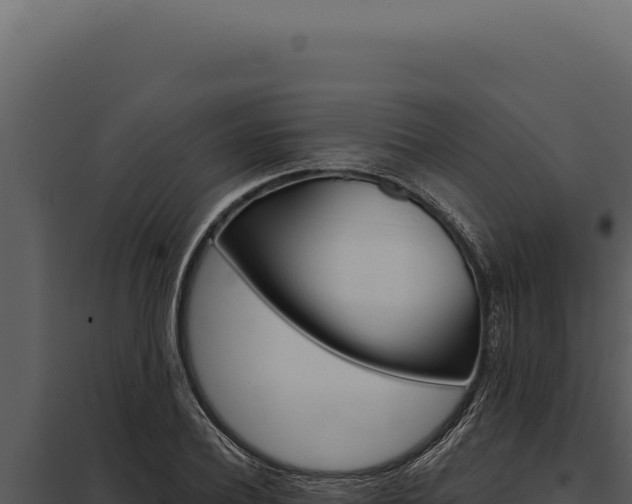 X0000097970932200804011717