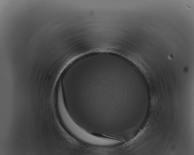 X0000097970934200804011717