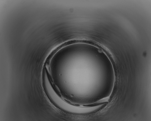 X0000097970935200804011717