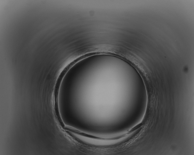 X0000097970936200804011717