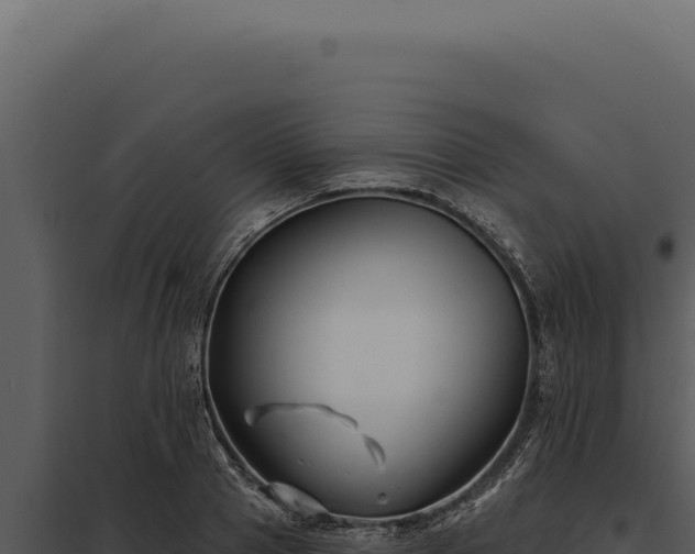 X0000097970937200804011717